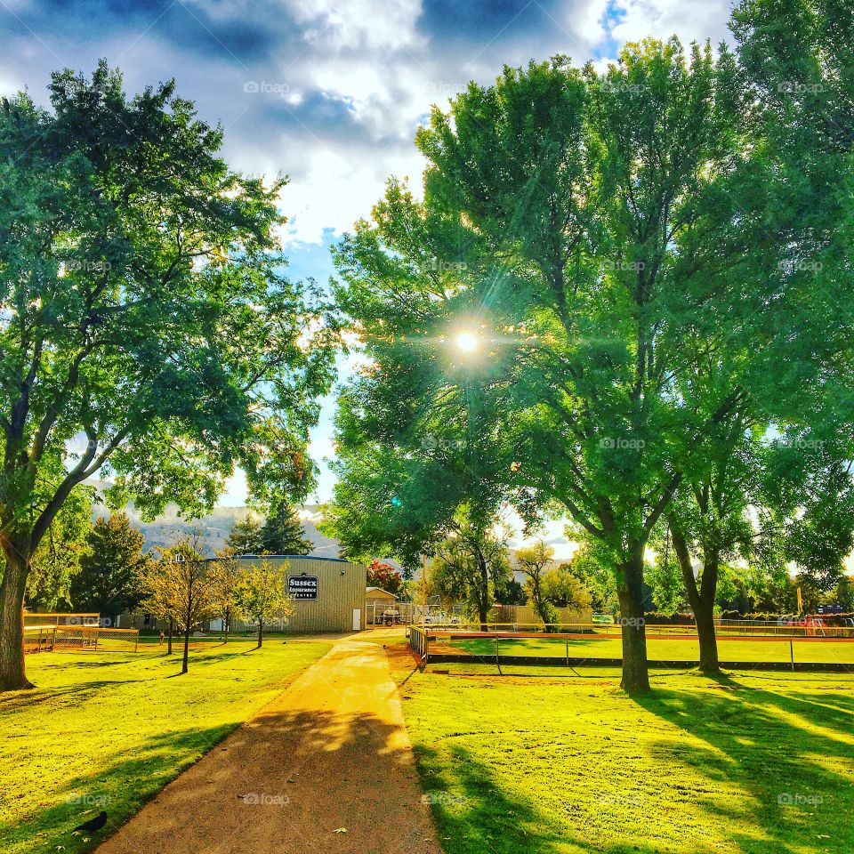 Beautiful sunny day! 