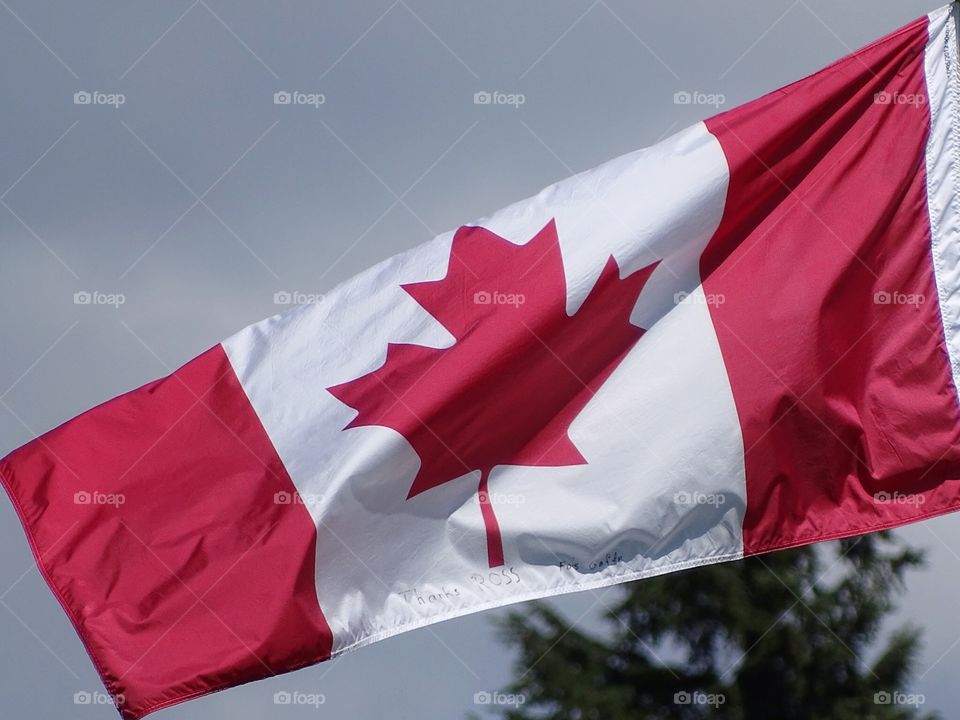 Flag of Canada