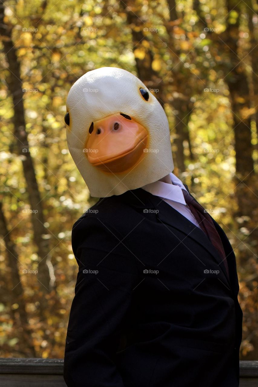 Quacks to meet you; Duck head in a suit costume