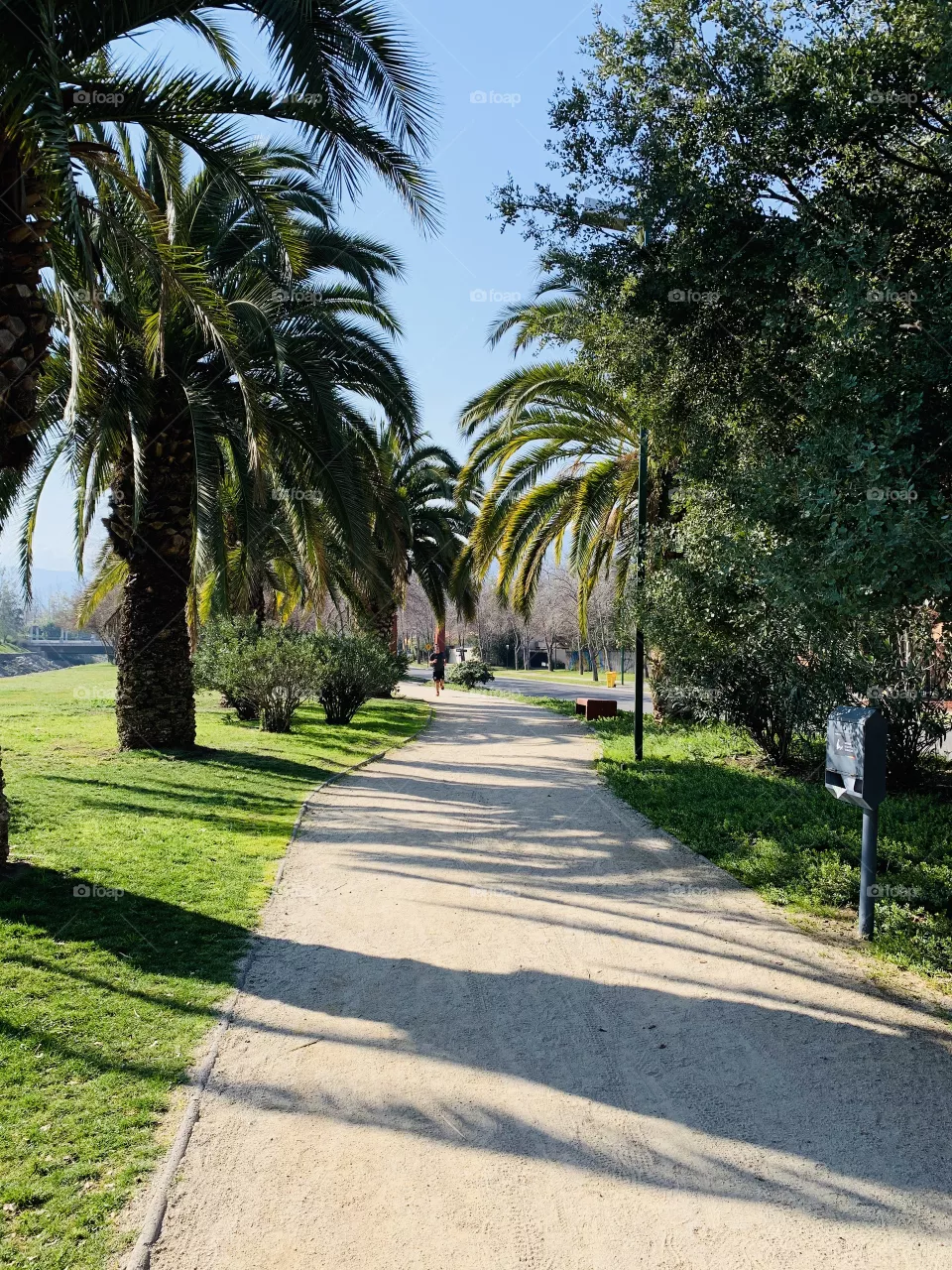 Camino del valle