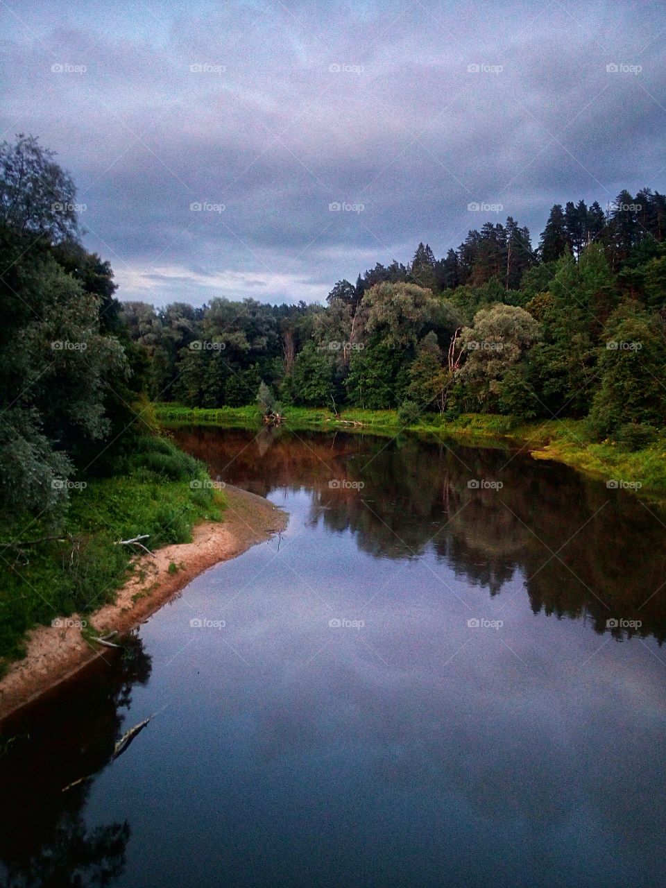 "My inspiration's coming from nature, I love nature and all the expressions, I love art, I love expressions of beauty. It's part of my life, being engaged in the moment."
~ Rickson Gracie