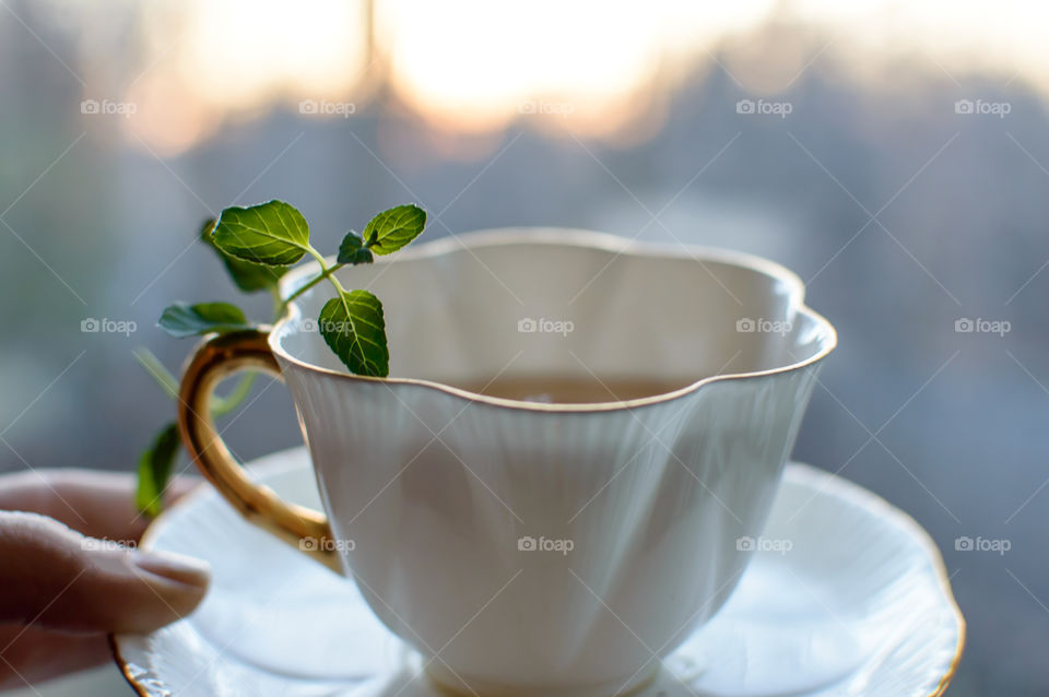 Hand holding herbal tea cup