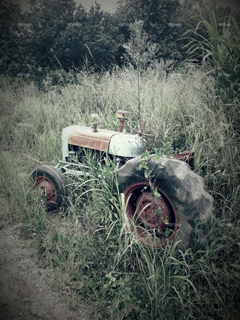 Tractor on the Farm