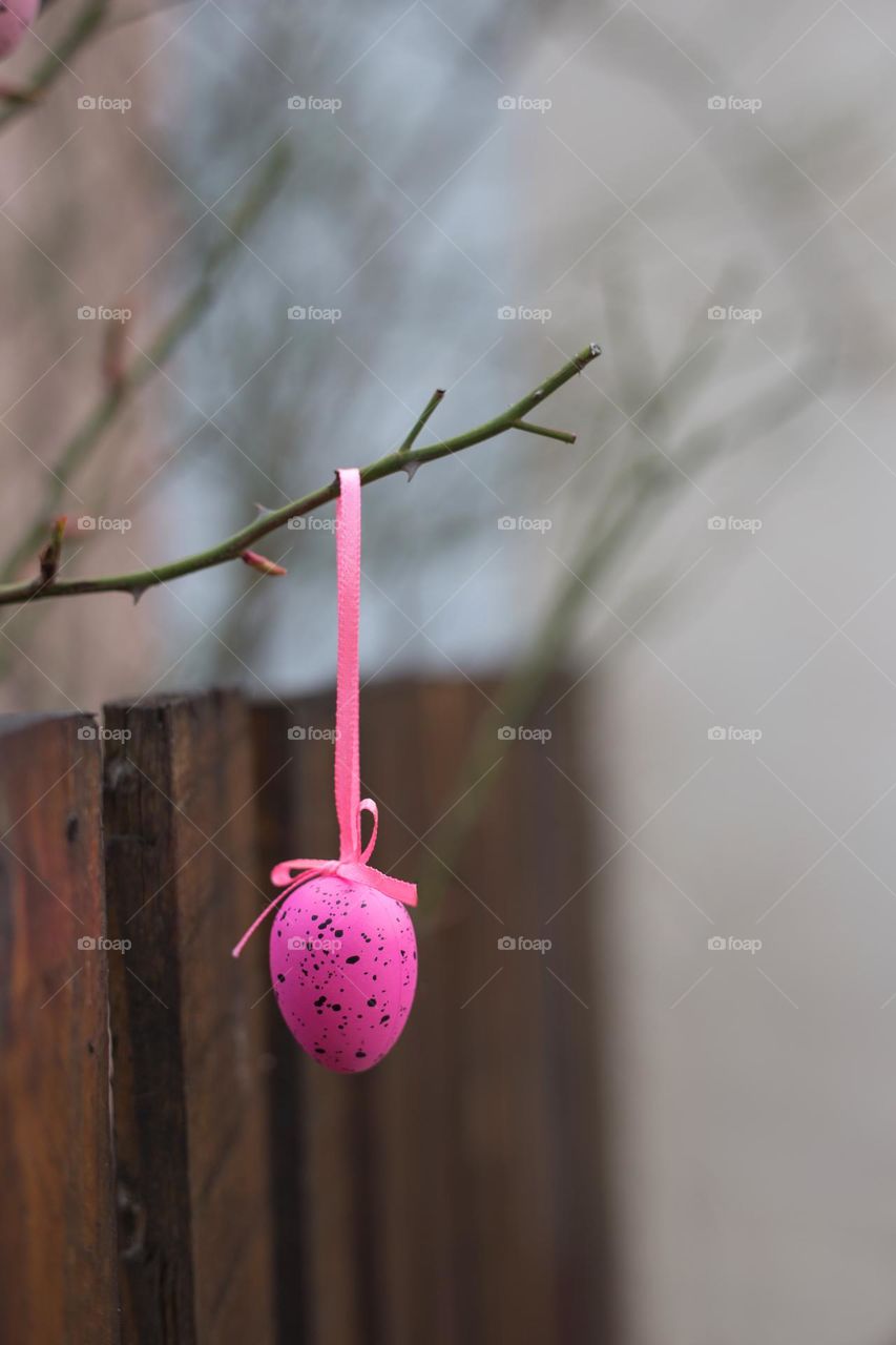 Pink Easter egg hanging on the tree branch 