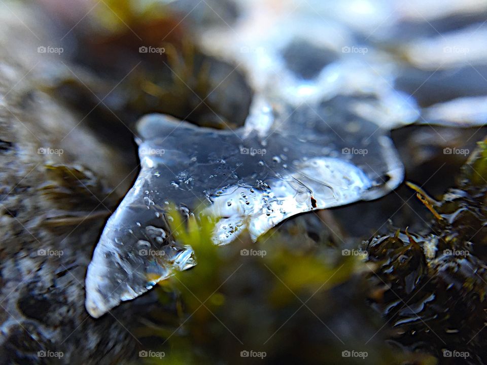 ICE . Fall turning into winter 