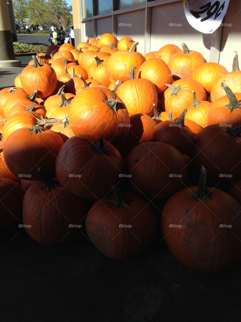 There's Some Pumpkins