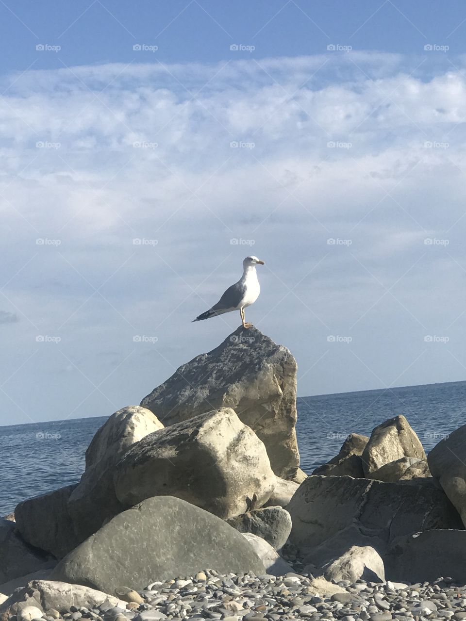 Лазаревское