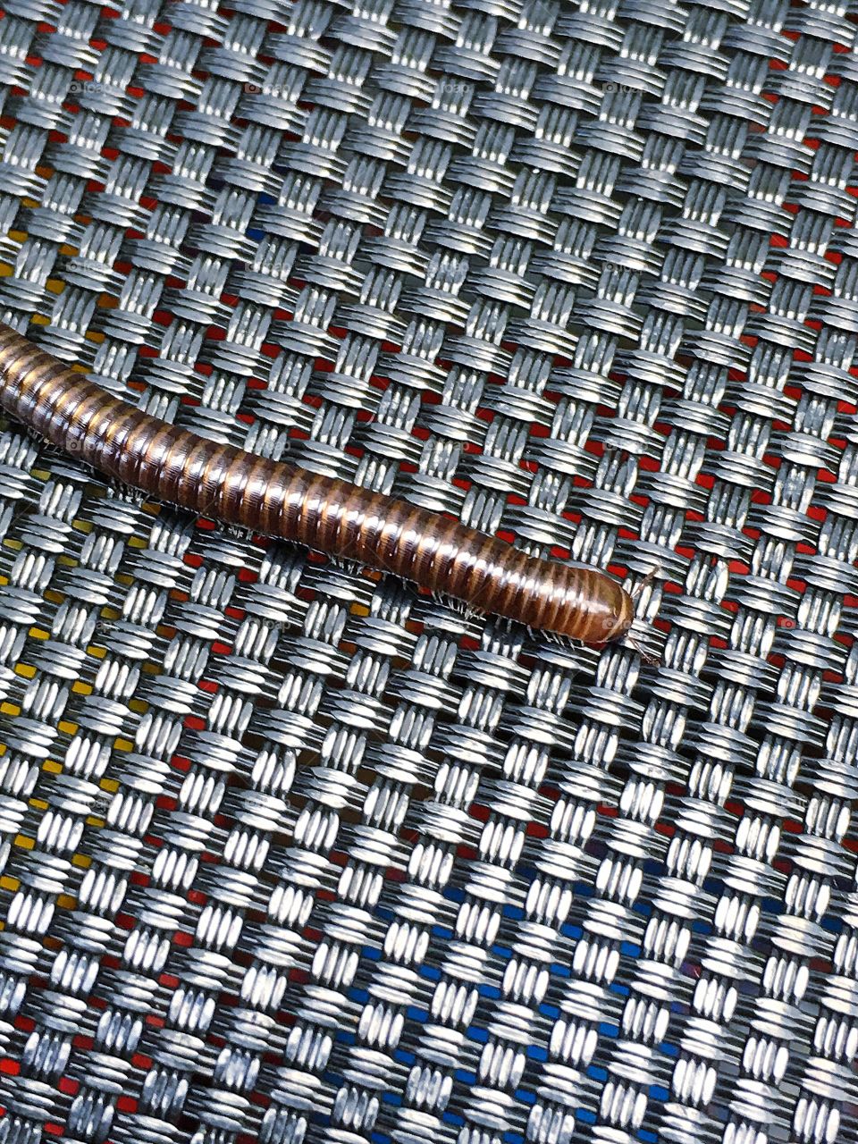 Captured with iPhone 6s Plus 