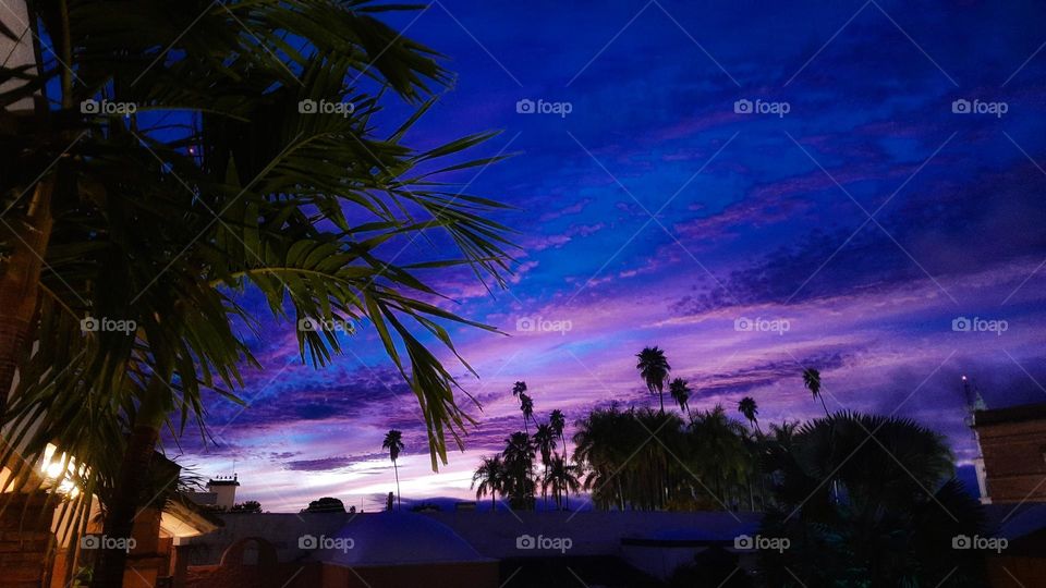 Beautiful sunset, night, evening, landscape, colorful, nature, sky, clouds, palms
