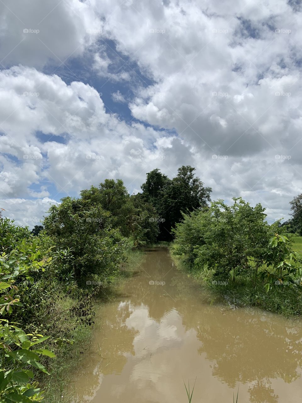 The stories of the nature, countryside (Thailand)