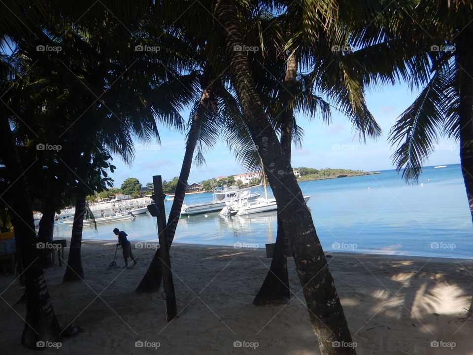 Let The Vacation Begin