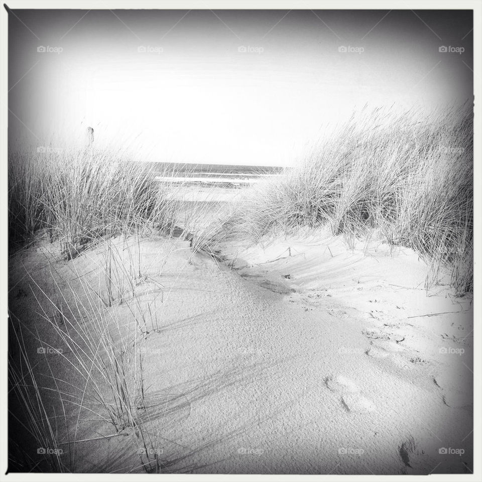 beach ocean sand path by psa
