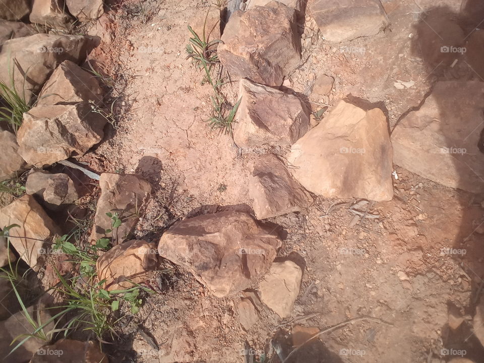 Editors'Choice Photo of the week