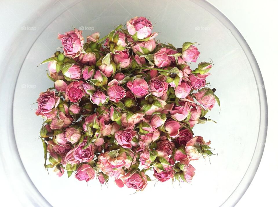 Dried roses