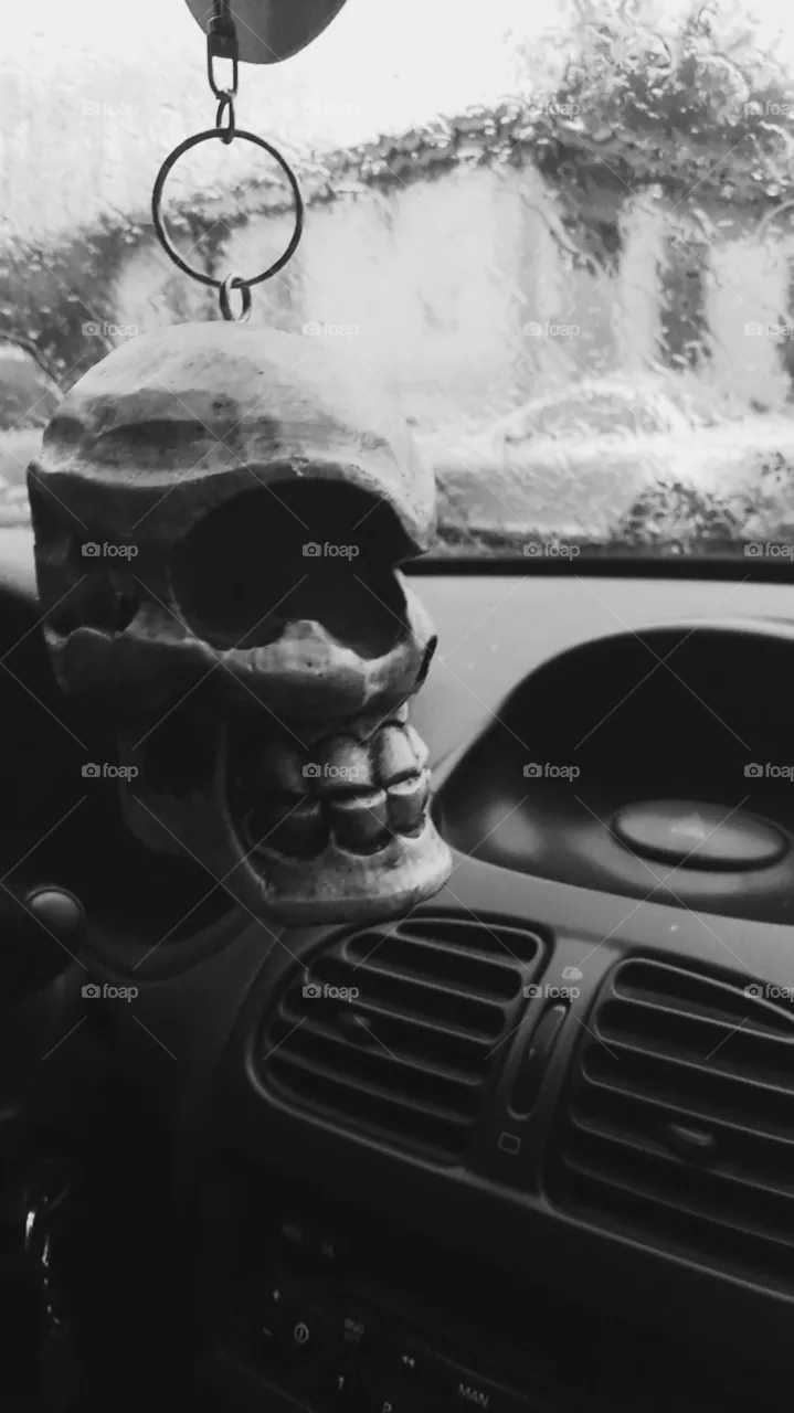 Skull