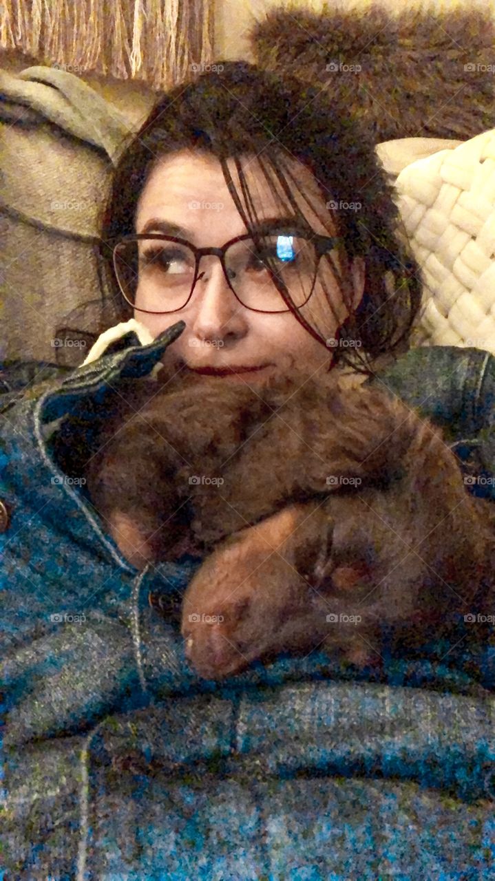 Cute little whisker nugget all curled in! This is an eight week old dachshund puppy that loves to be held. 