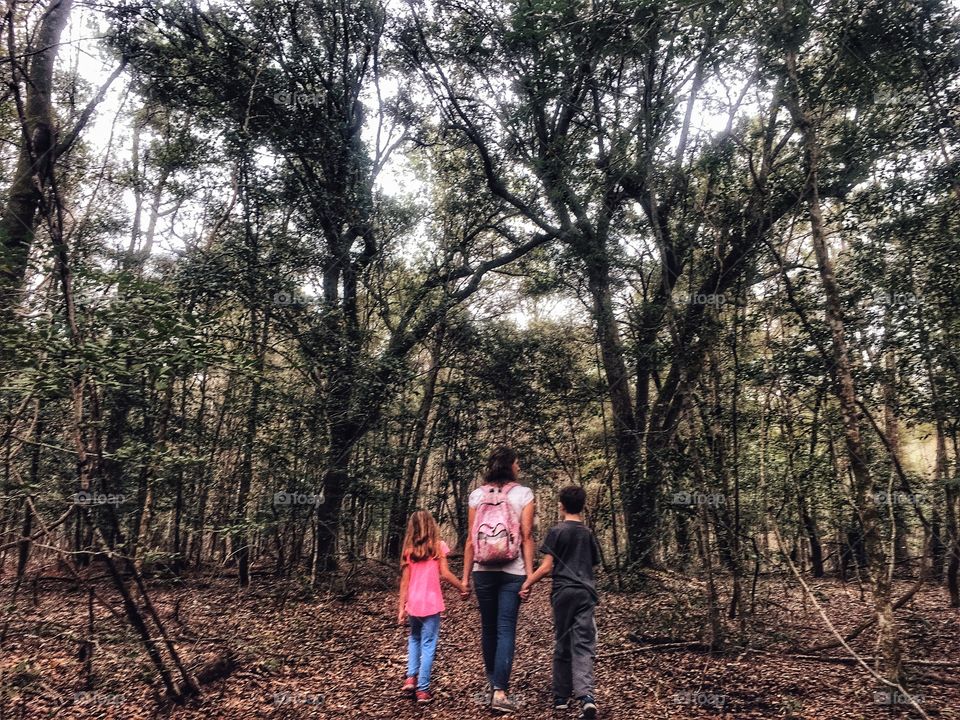 South Carolina Family Forest Hike