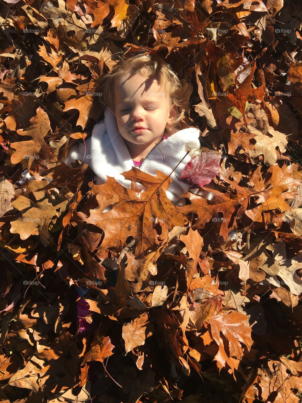 Cute baby laying on autumn leaf