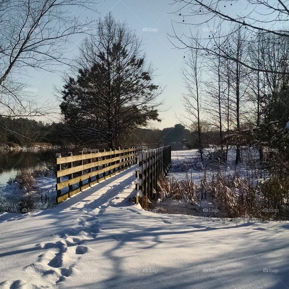 Winter Bridge 2