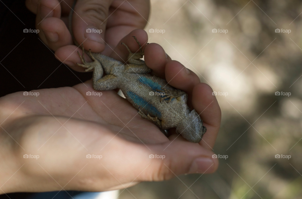 blue children child animal by stephenkirsh