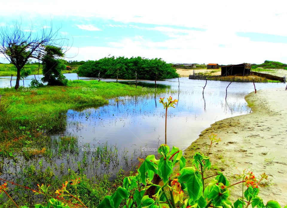 A salt water river. A river by the sea