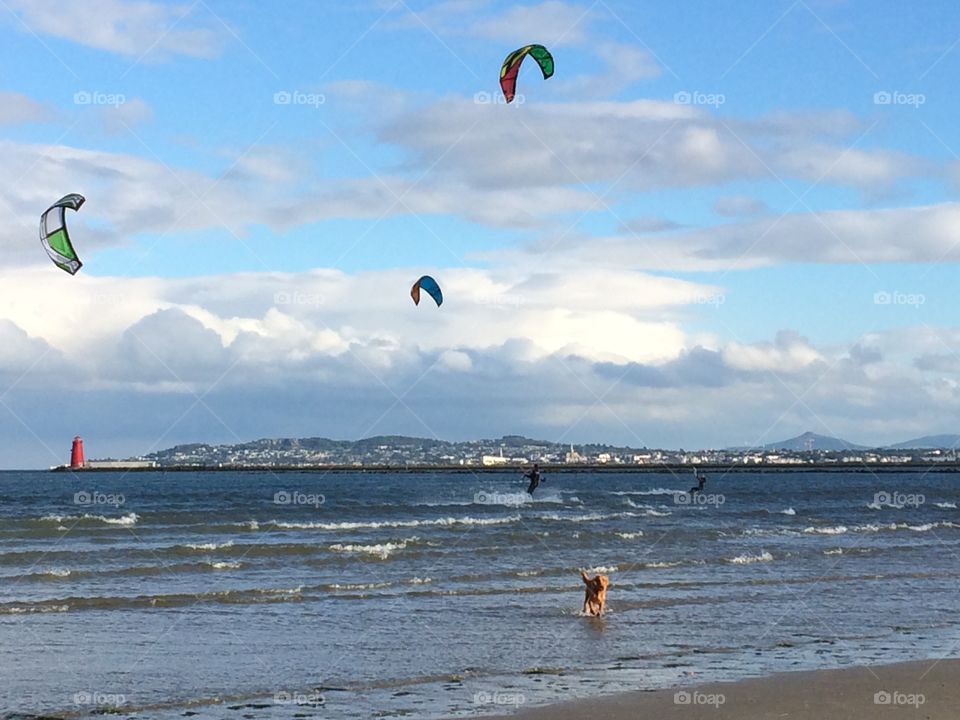 Kitesurfing + Dog