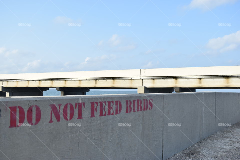 Do Not Feed the birds sign at the ocean. Atbthe osean sea where on a wall the words do not feed the birds is written.