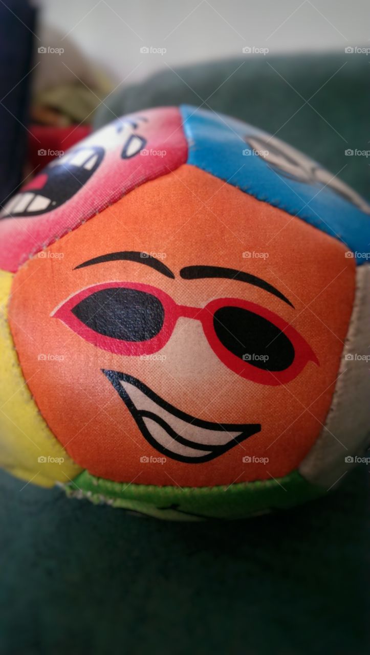 dog's ball. ready for play