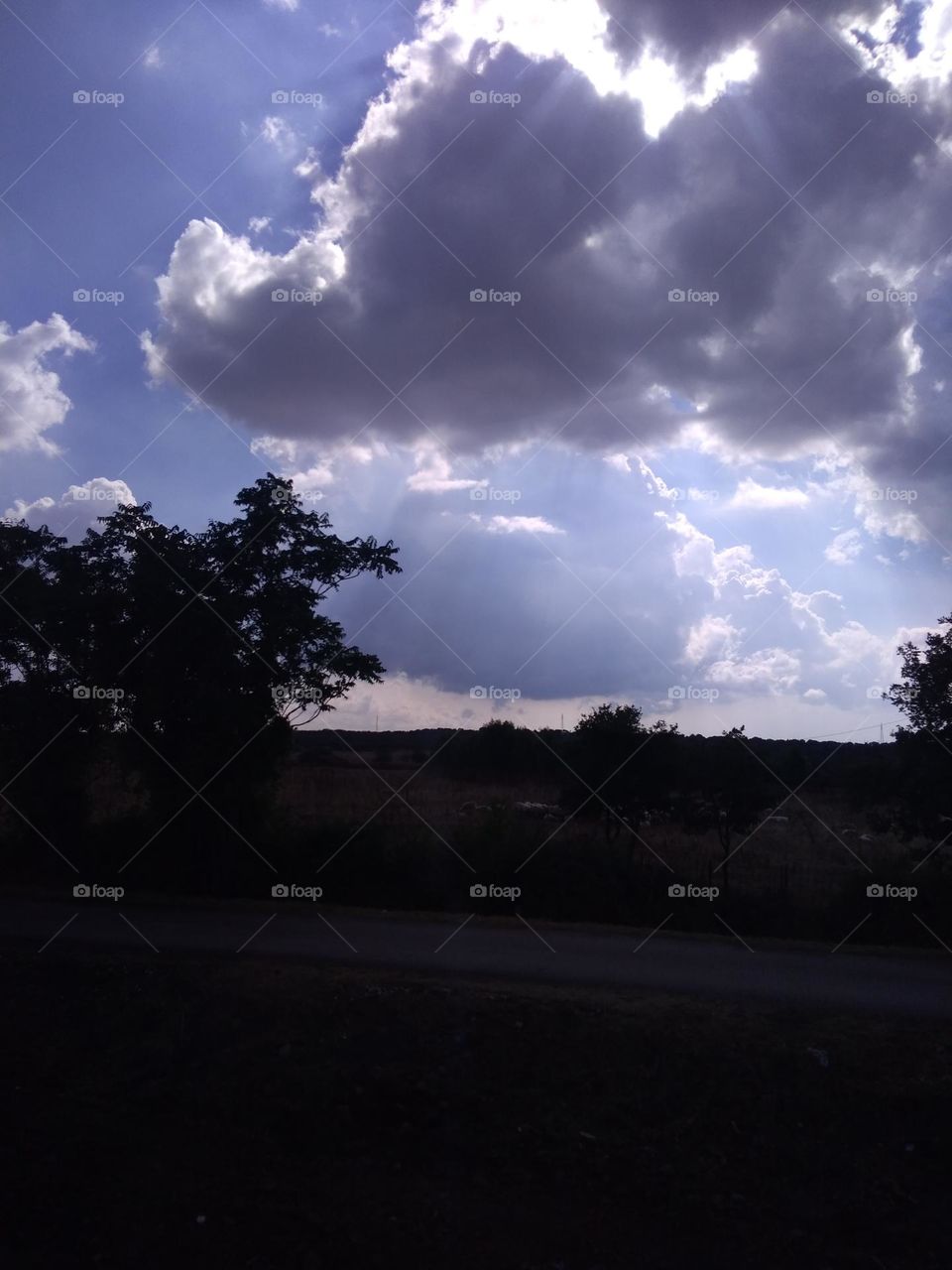 Best of 2021: Nature