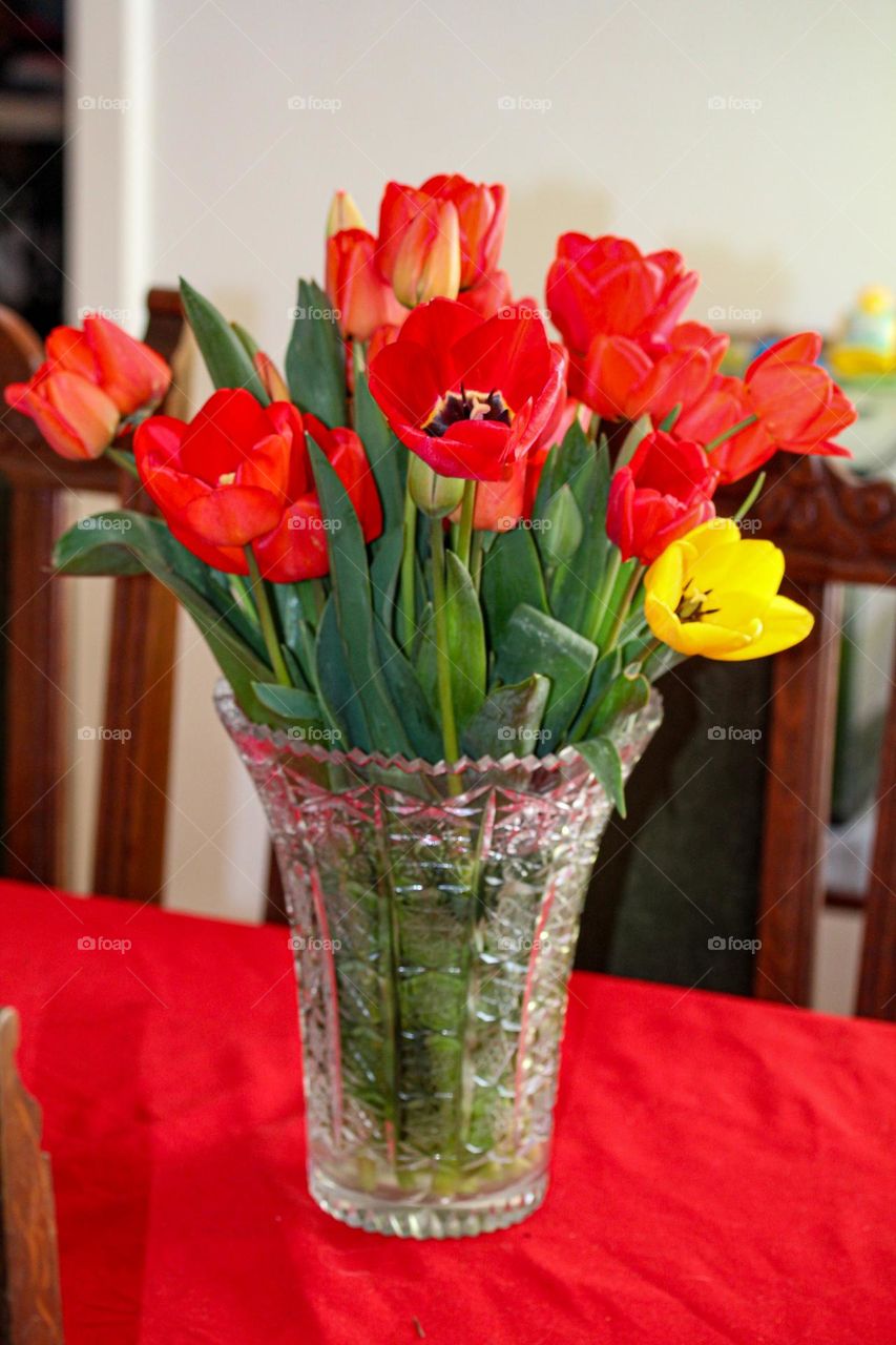 Tulips