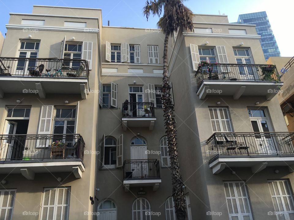 Tour guide in Tel Aviv