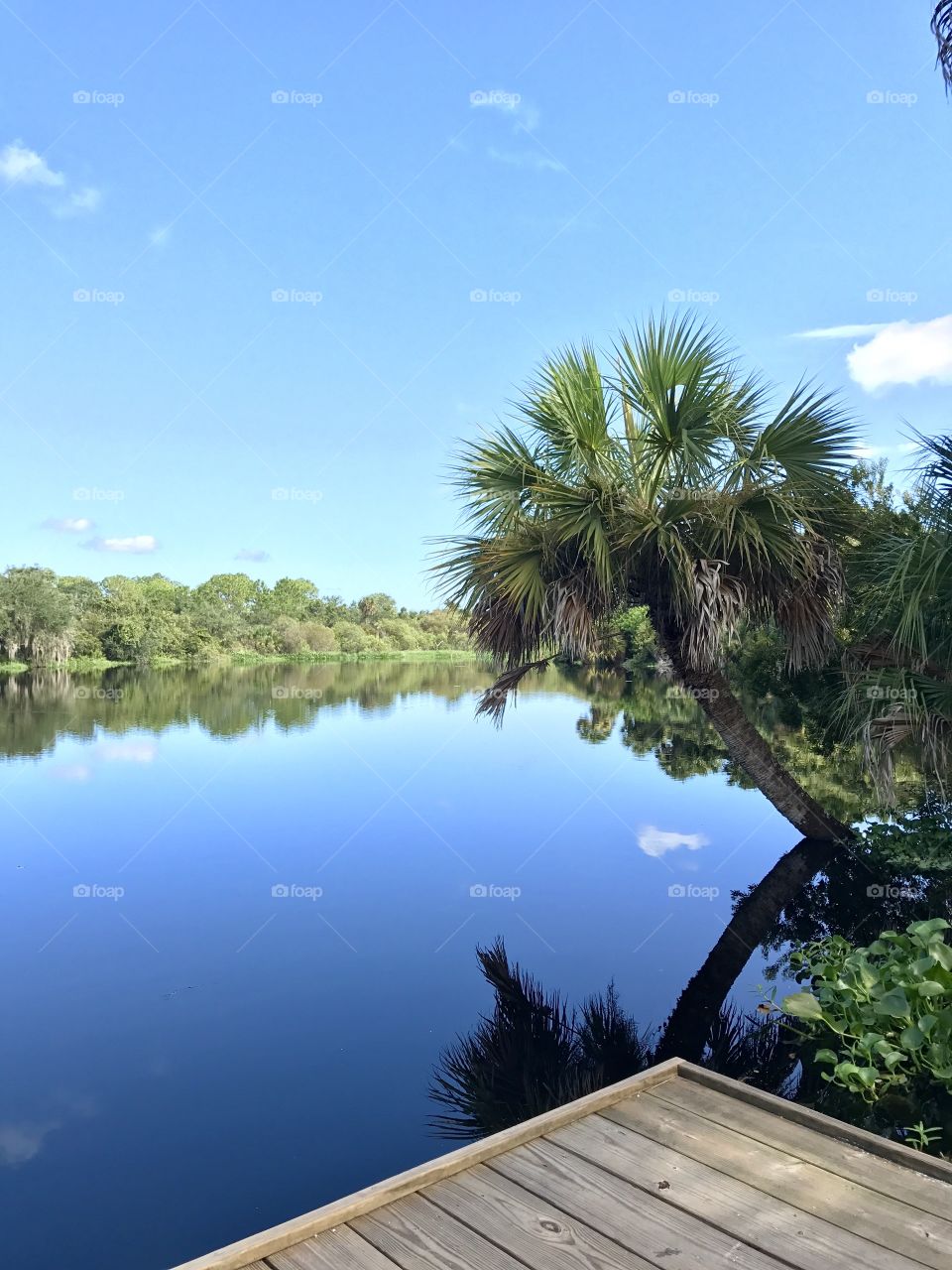 Myakka lake