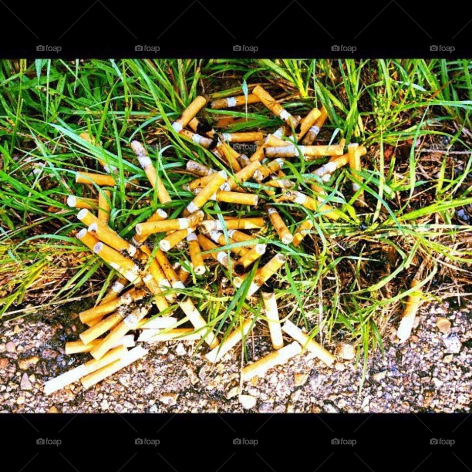 Cigarette butts. Nasty  smell