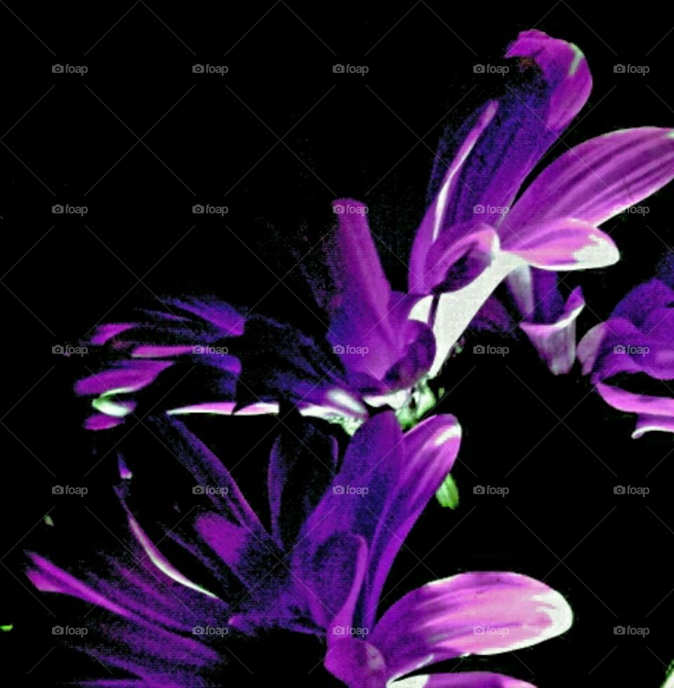 superstar. lighting effects