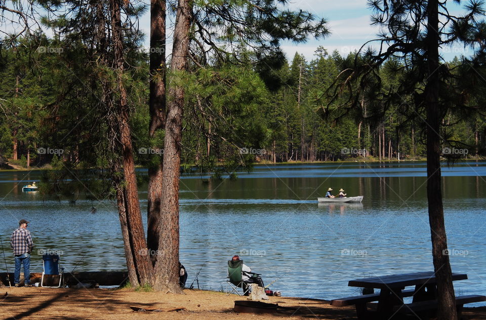 Summer vacation in the Oregon forest 