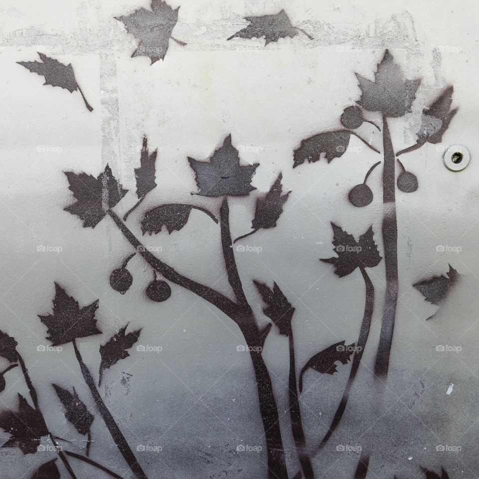 Stencil Texture of  Leaves on a Tree