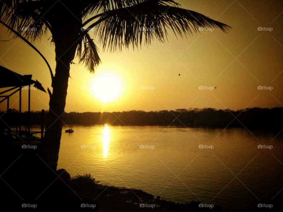 Palm Beach Road,Vashi ,Navi Mumbai, India