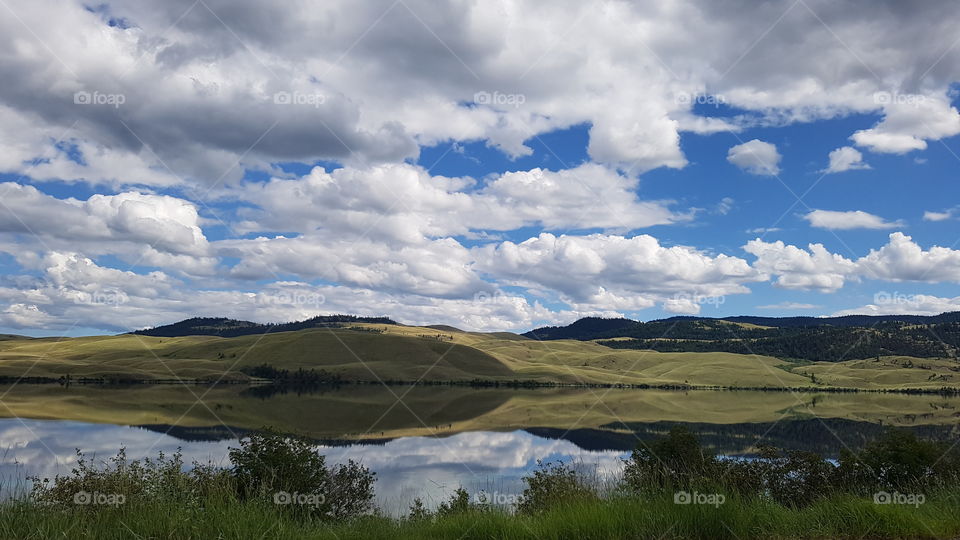 Reflection in the water