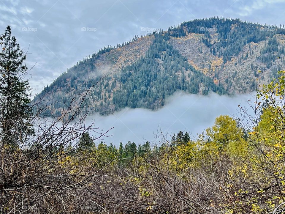 Foggy morning in the mountains 