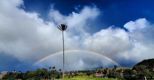 Rainbow
