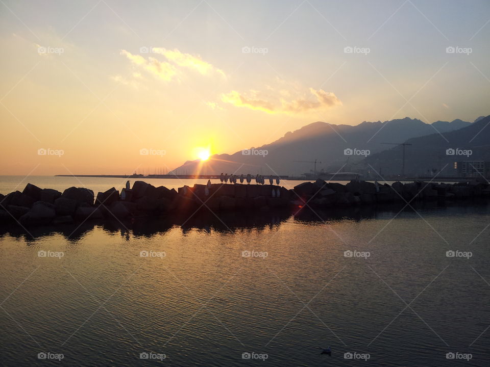 rocks With penguins, seafront