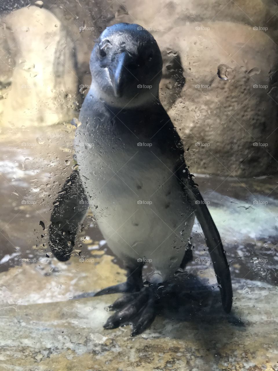 Yeah, so what! I see you too!