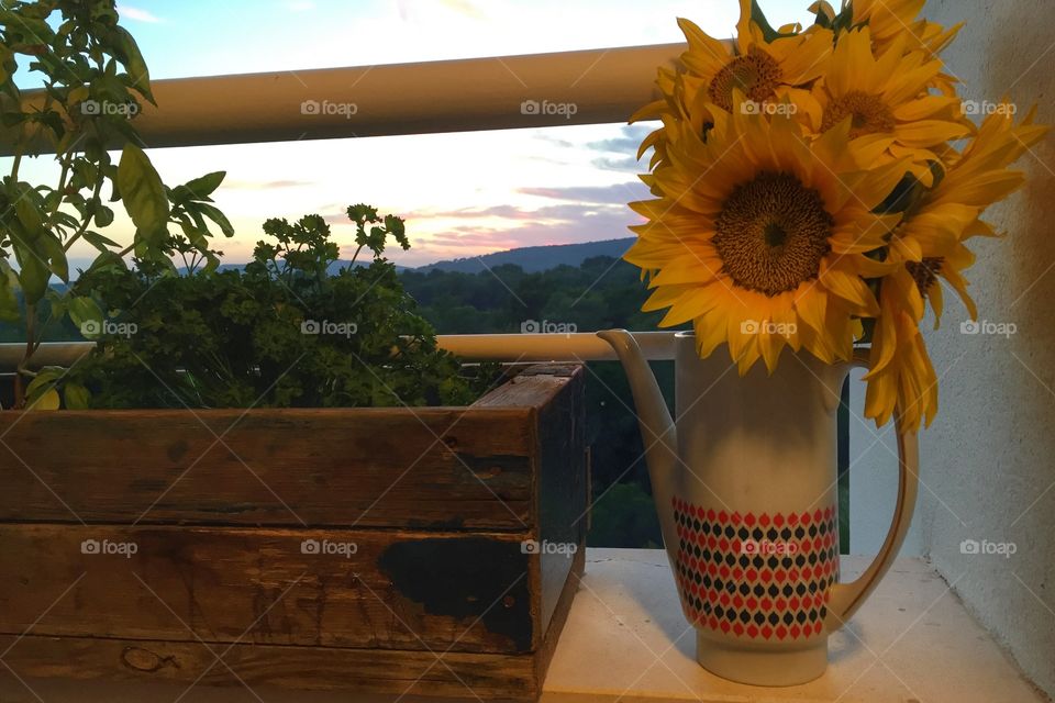Sunflowers on a window sill