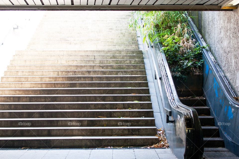 Overgrown escalator 