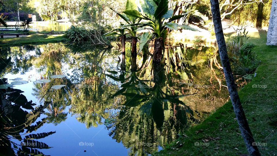 Botanical gardens Rio