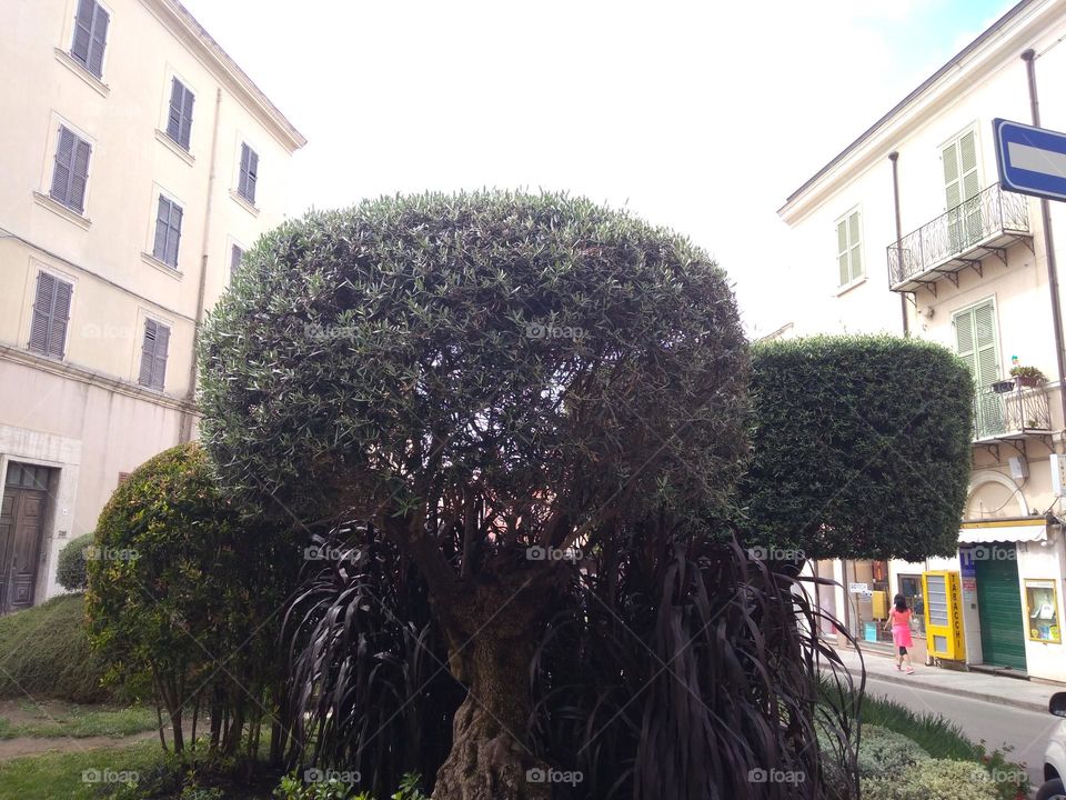 Editors' Choice - Photo of the Week