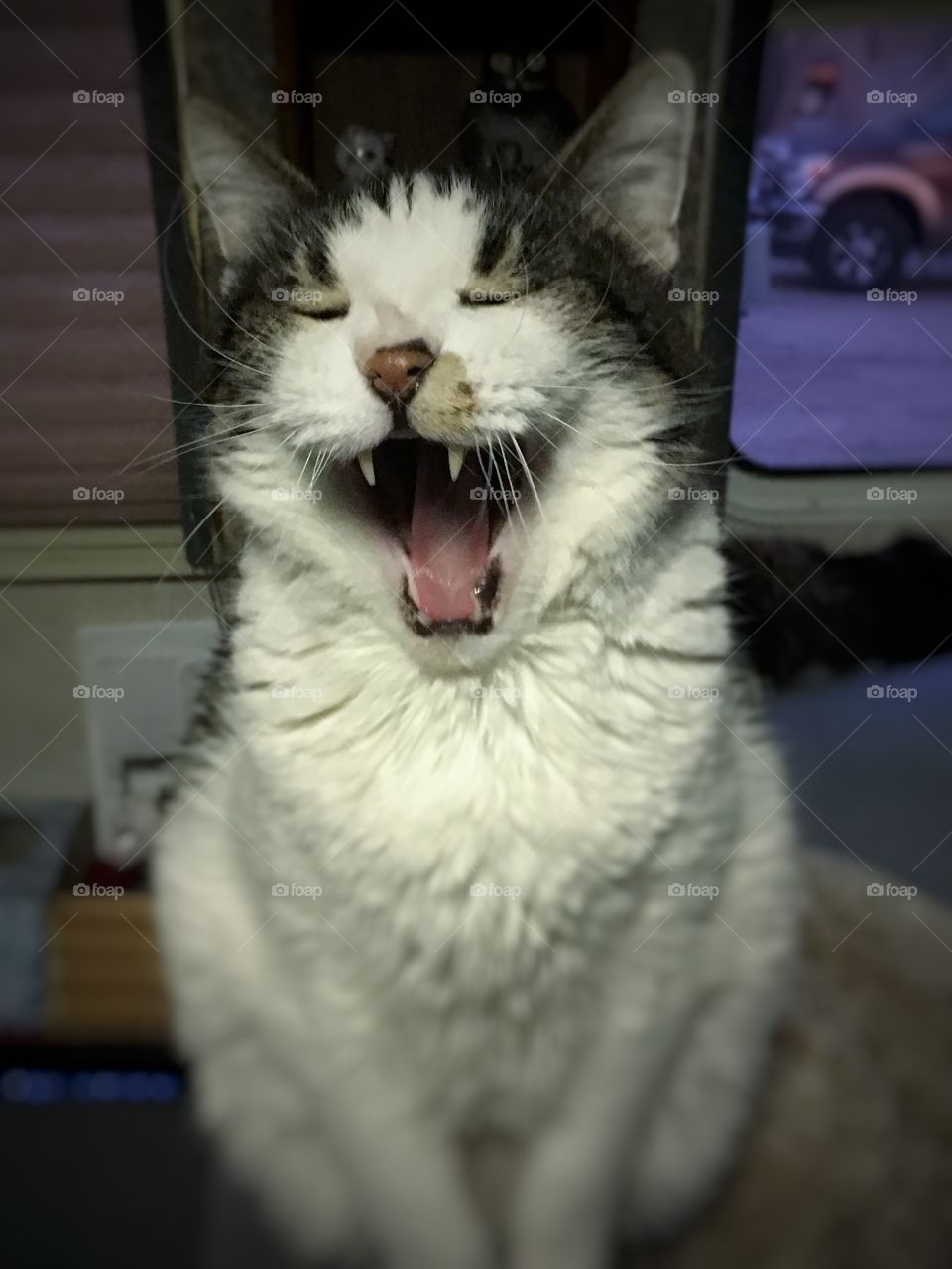 Mort Yawn