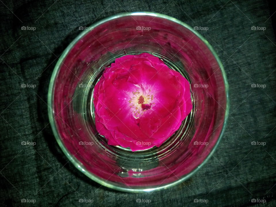 rose glass creativity