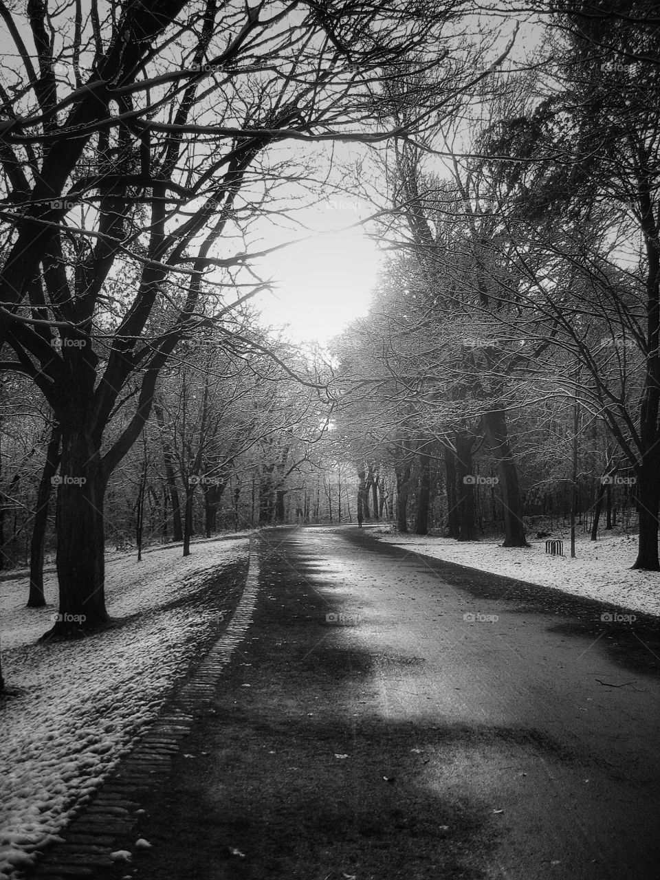 Montreal Mount-Royal Park