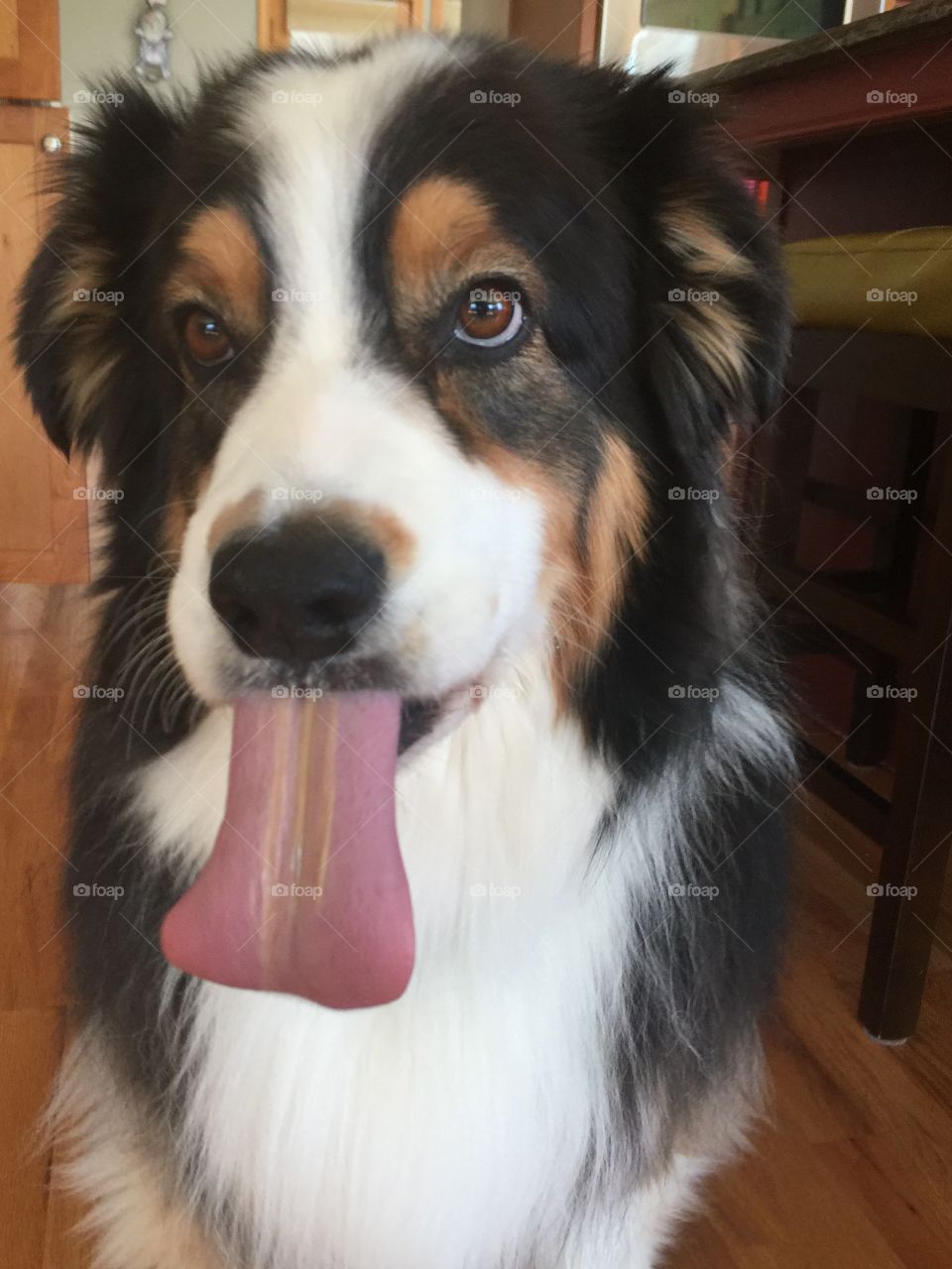 Excuse me, do I have any Peanut Butter on my Tongue?